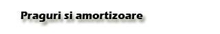 Praguri si amortizoare